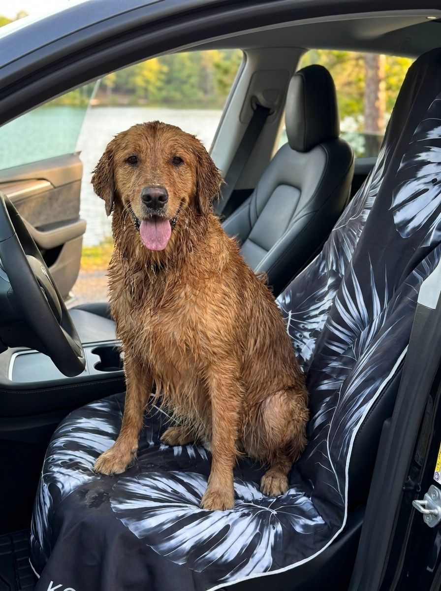 Wet golden retriever sitting on the Black KOVA towel